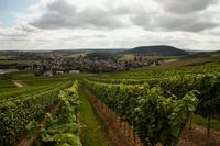 Weingut Rheingrafenhof – Weitblick über Frei-Laubersheim